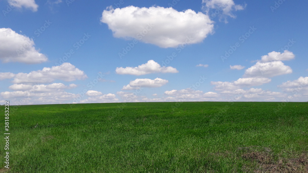 green field and blue sky green field and blue sky