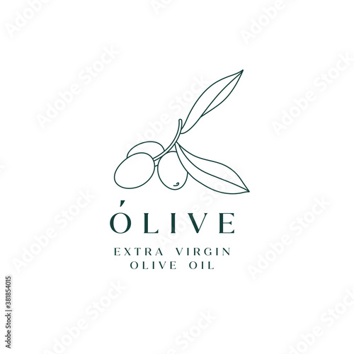 Vector illustration olive branch - simple linear style. Logo composition with olives and typography.