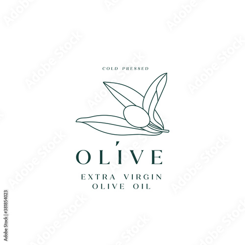 Vector illustration olive branch - simple linear style. Logo composition with olives and typography.