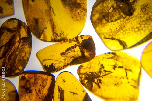 Beautiful amber products of Latvia with a fly in