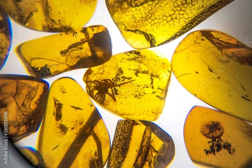 Beautiful amber products of Latvia with a fly in