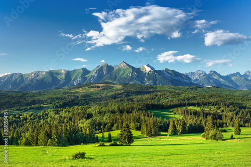 Obraz na płótnie High Tatras (Belianske Tatry) mountains national park in Slovakia w salonie