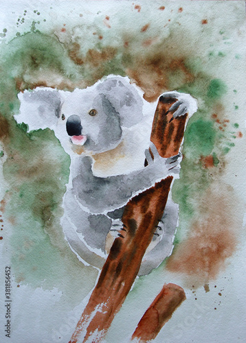 Watercolor drawing of a cute wild animal. Image of a koala sitting on a branch. The background of the illustration is made as streaks and splashes of paint. photo