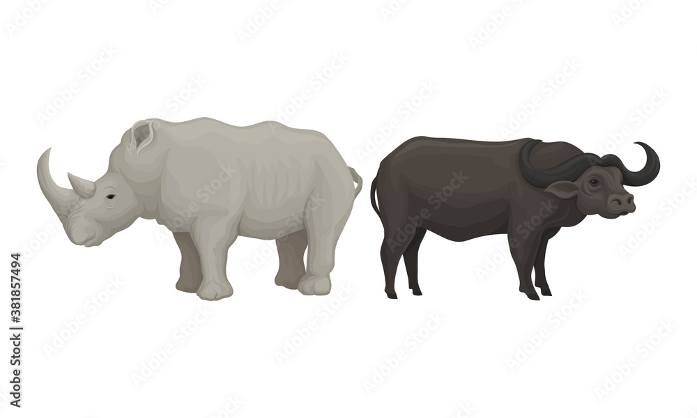 Obraz premium Huge Rhino and Buffalo as African Animal Vector Set