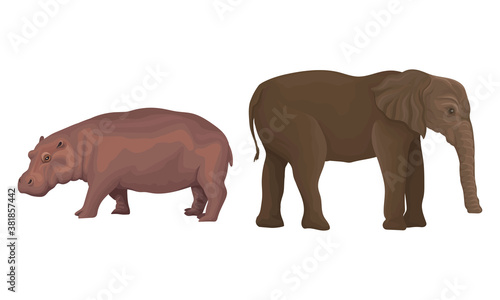 Huge Elephant and Hippo as African Animal Vector Set