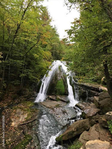 waterfall in the woods