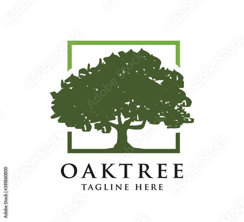 oak tree design logo concept