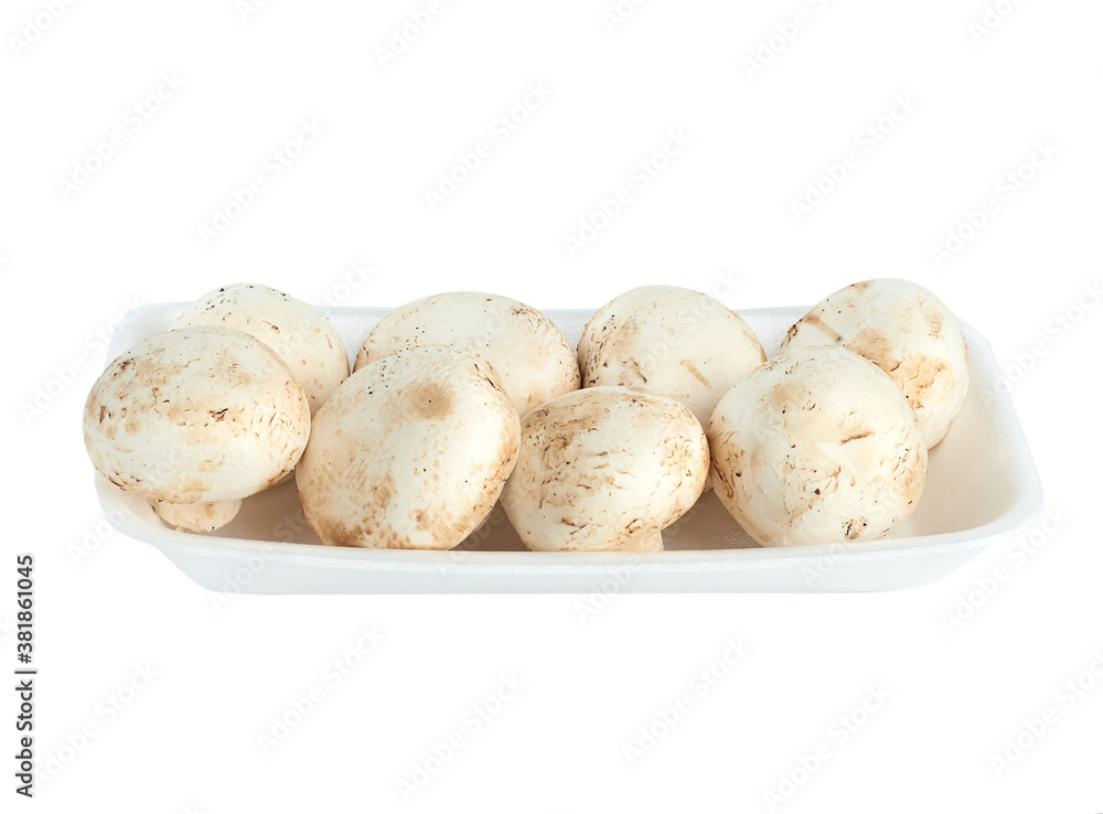 raw porcini mushrooms in neoprene tray isolated on white background raw porcini mushrooms in neoprene tray isolated on white background