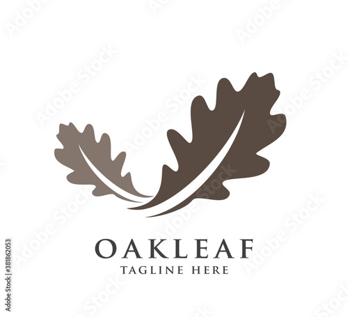 oak leaf design logo concept