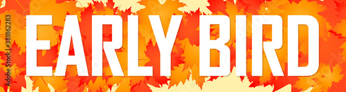 Early Bird Sale, web banner design template, discount horizontal poster, vector illustration