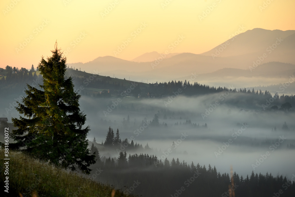 Morning mountain landscape. View of green mountains and valleys in the fog.
