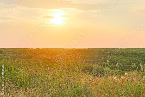field of grass with trees in the background against the sunset