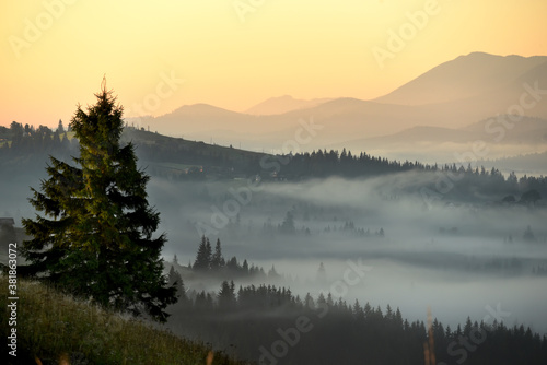 Fototapeta Naklejka Na Ścianę i Meble -  Morning mountain landscape. View of green mountains and valleys in the fog.
