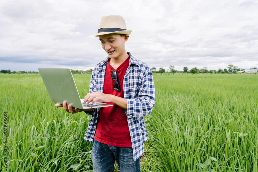 © Phushutter - Asian man smart farmer researching rice data and collect biological data of the rice plant. To test the quality and examine the problems of diseases and pests in GMO rice fields.
