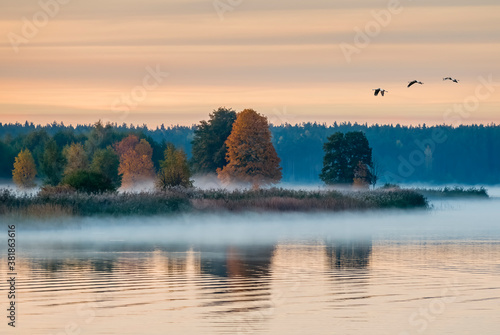 Autumnal landscape with mist above water, and migrating birds, Baltic region, Europe