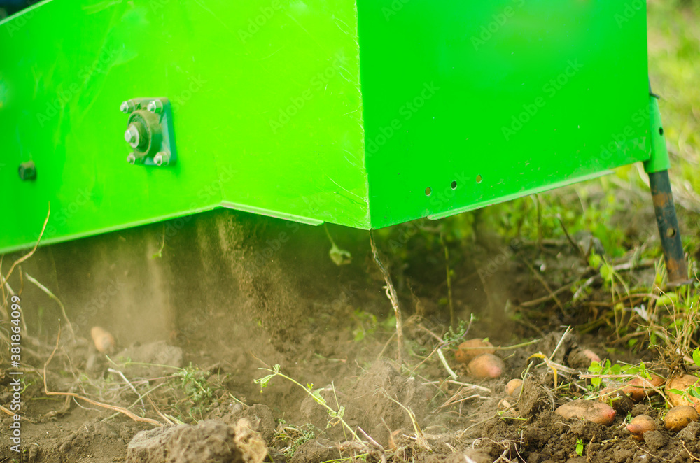 The process of digging potatoes out of the ground. Using machines to improve food production. Harvesting campaign with a digging machine. Farming, agriculture. Countryside farmland. The process of digging potatoes out of the ground. Using machines to improve food production. Harvesting campaign with a digging machine. Farming, agriculture. Countryside farmland.