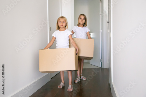 Sweet pretty girls moving in new flat, carrying carton boxes in corridor. Front view, full length. Apartment buying concept