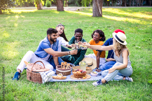 Best friends are on picnic in the park.