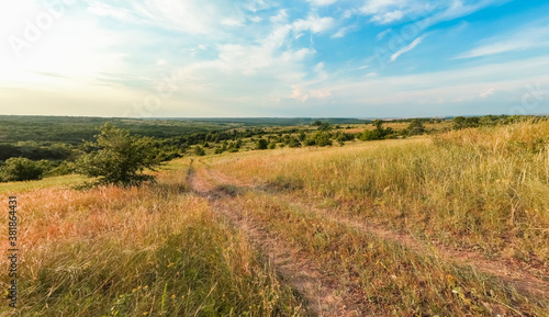 A large green field with trees in the background. the road that goes into the distance