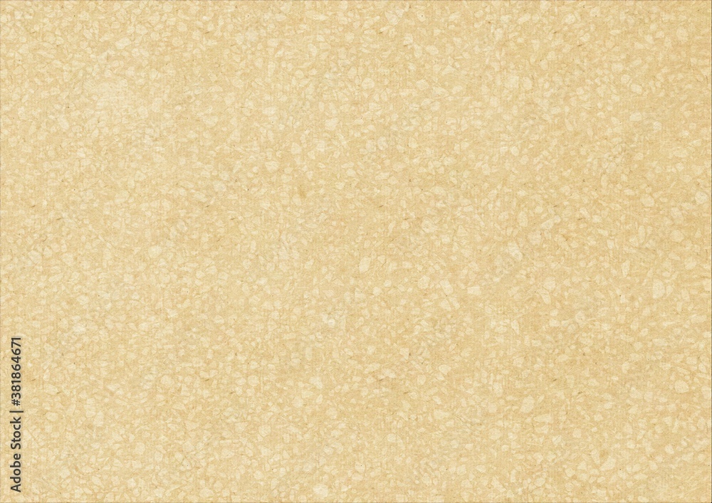 Fototapeta premium ざらざらした和紙 