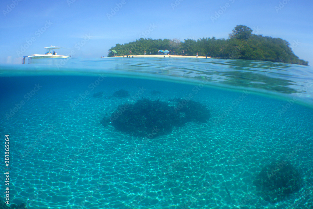 
underwater paradise on an islet in the Morrocoy national park in Venezuela