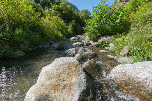 abundant vegetation in a river in southern Spain