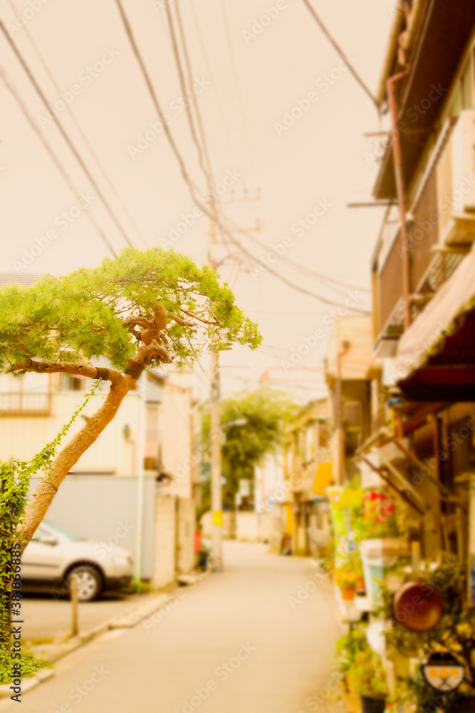 Fototapeta premium 住宅