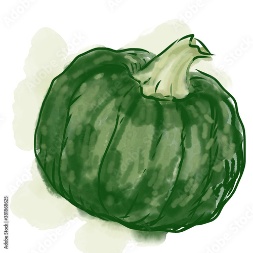 Green pumpkin isolated on white, digital  illustration in watercolour style 