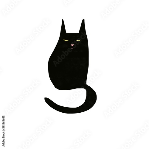black cat on white