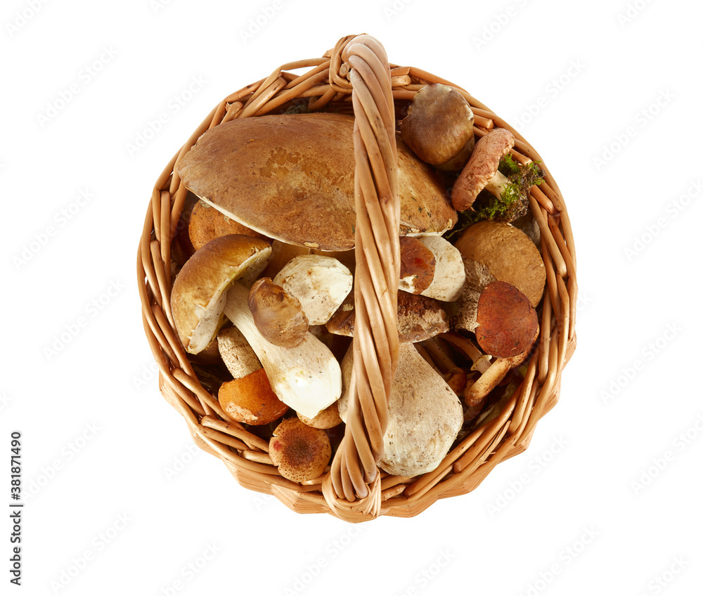 forest mushrooms in basket isolated on white background