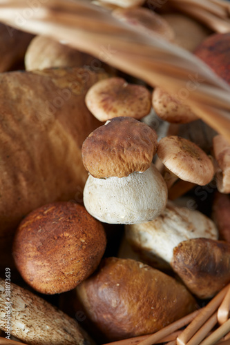 wooden wicker full of forest mushrooms