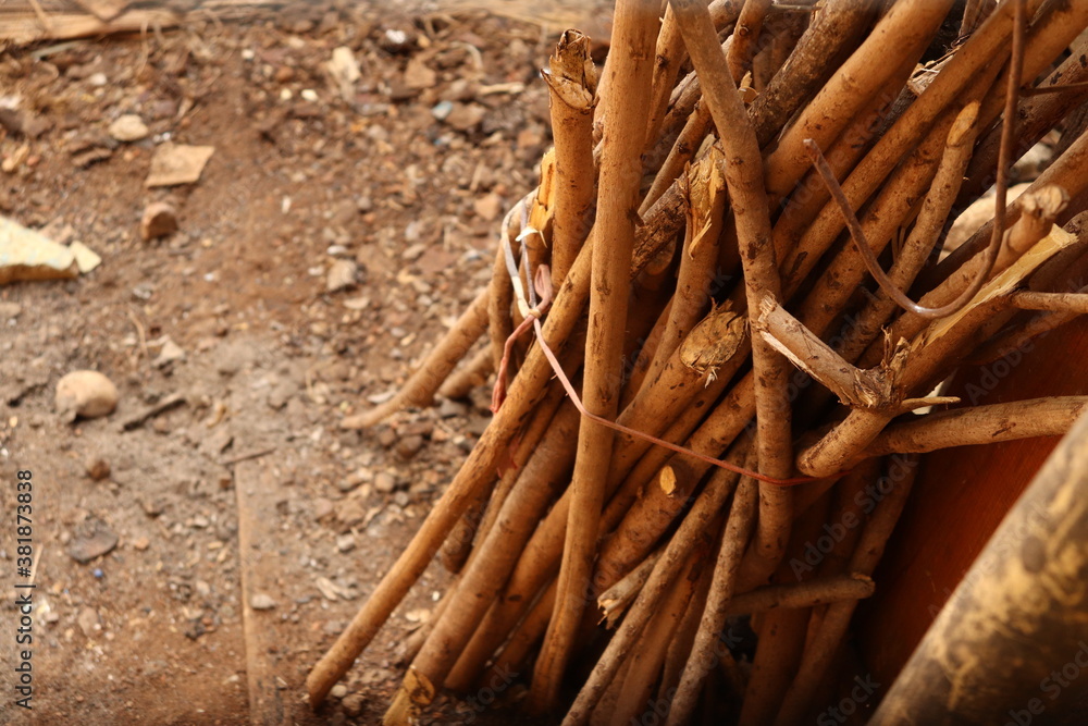 close up of cinnamon sticks on wooden table close up of cinnamon sticks on wooden table