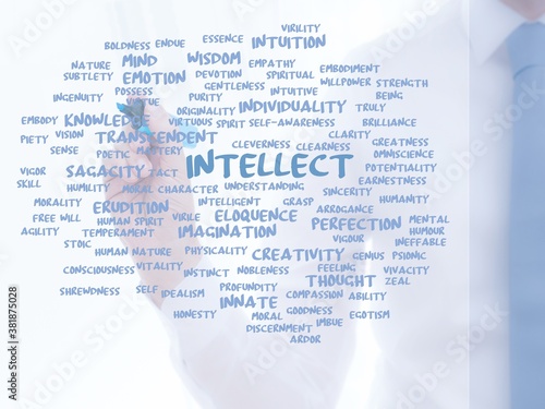 Cuadro en lienzo intellect