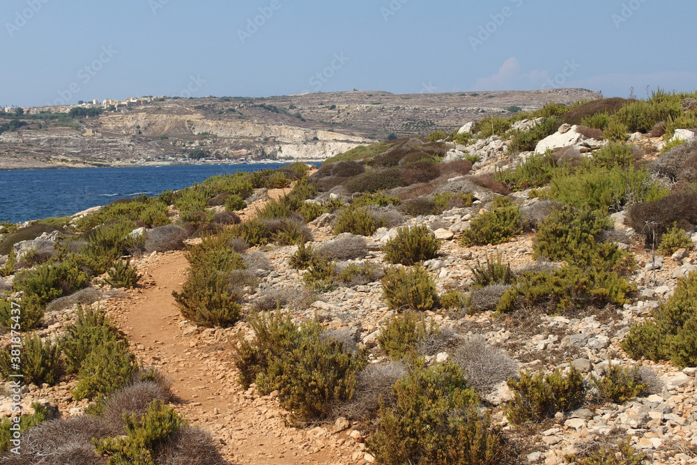 Comino island rocky coast landscape with blue sea and dry surface, Malta