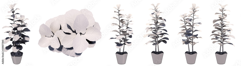 Set or collection of beautiful drawings of interior plants isolated on white background. Concept or conceptual 3d illustration for nature and ecology, beauty and gardening