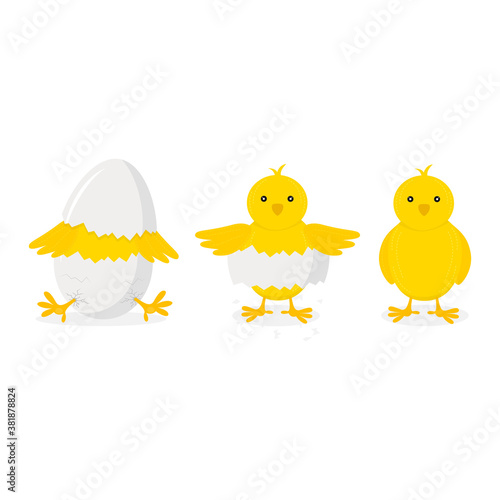 Cartoon Chicken Hatching Phases Set on a White. Vector photo