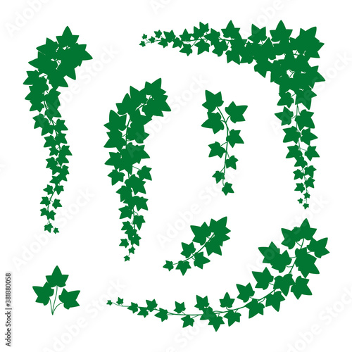 Ivy Green Leaves Different Types Set. Vector