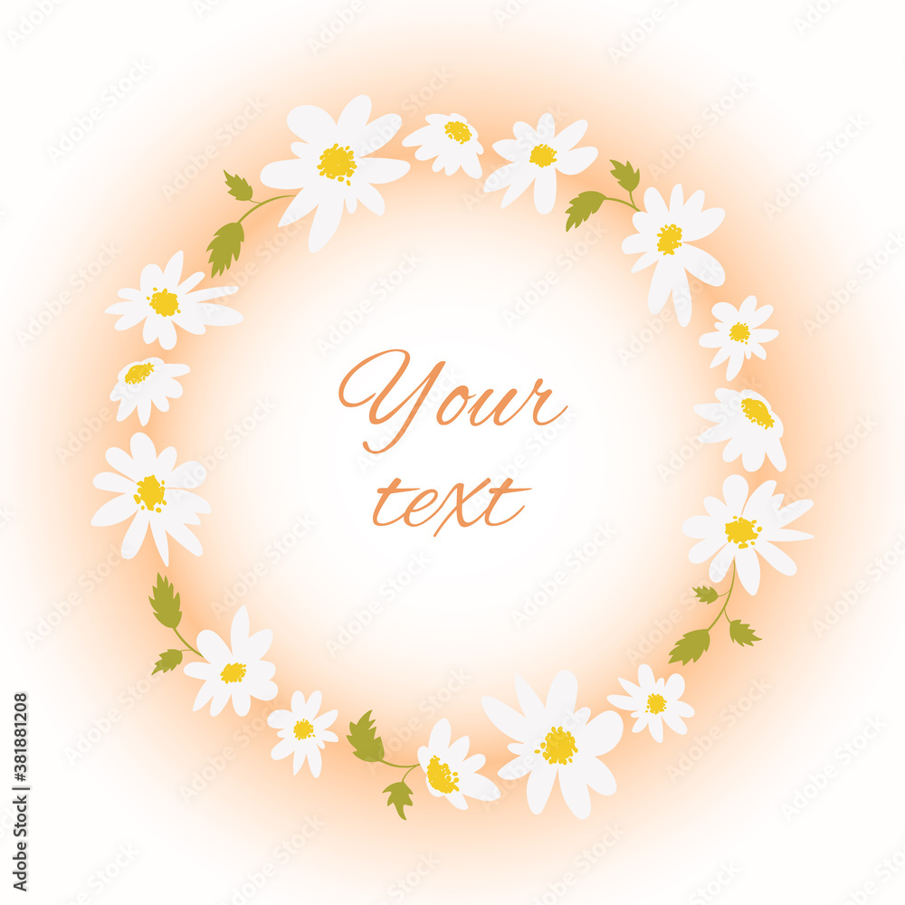 Hand drawn frame with chamomiles.Summer picture in gentle colors with inflorescences and leaves of daisies.Floral, botanical, flowers.Isolated. Text can be changed. Vector illustration