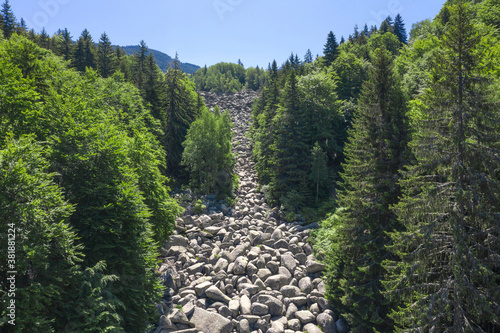 Obraz na płótnie Stone river known as Golden Bridges on Vitosha Mountain, Bulgaria w salonie
