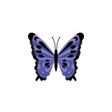 butterfly icon - Colorful Butterfly logo isolated, Beautiful Butterfly illustration