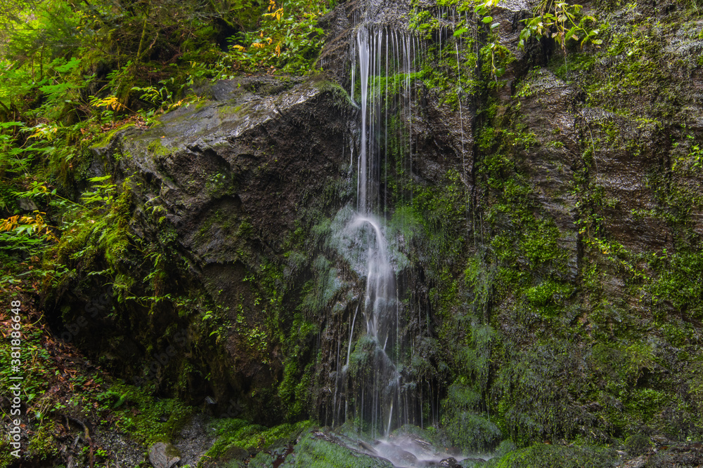 fine delicate waterfall in a forest fine delicate waterfall in a forest