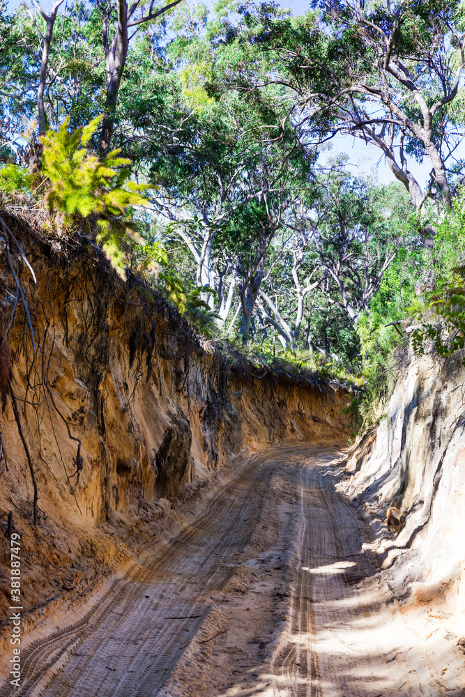 Fototapeta premium 4wd track carved into sand dunes