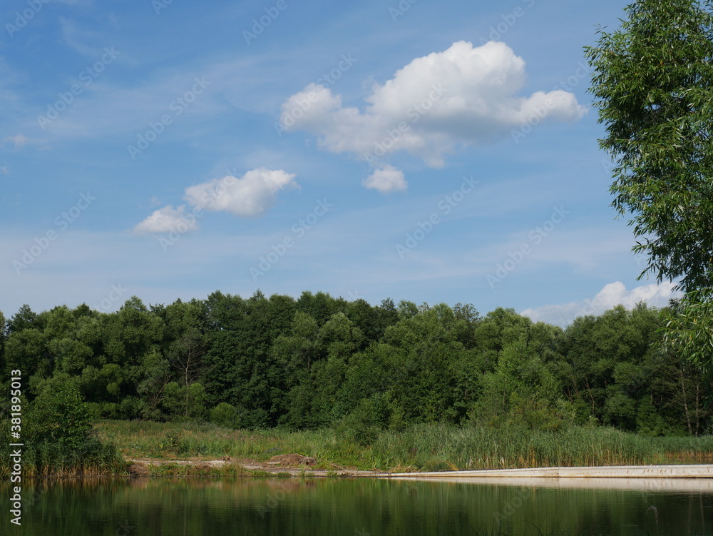 Rural landscape. Summer. River and trees Rural landscape. Summer. River and trees