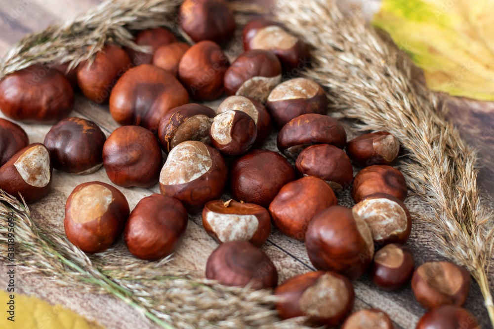 Chestnuts on the table in different dishes. And there are leaves nearby.
Chestnuts on the table in different dishes. And there are leaves nearby.