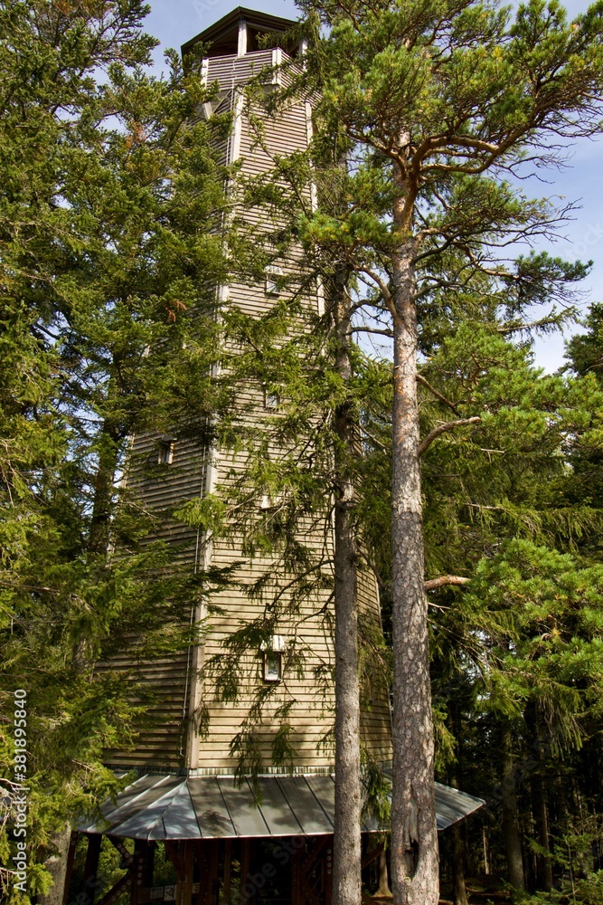 Fototapeta premium Na Sedle Lookout tower in Sumava Natural park, West Bohemia, Czech republic, European union, Middle Europe