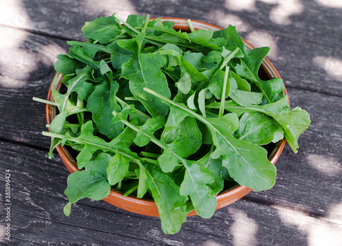 Arugula salad