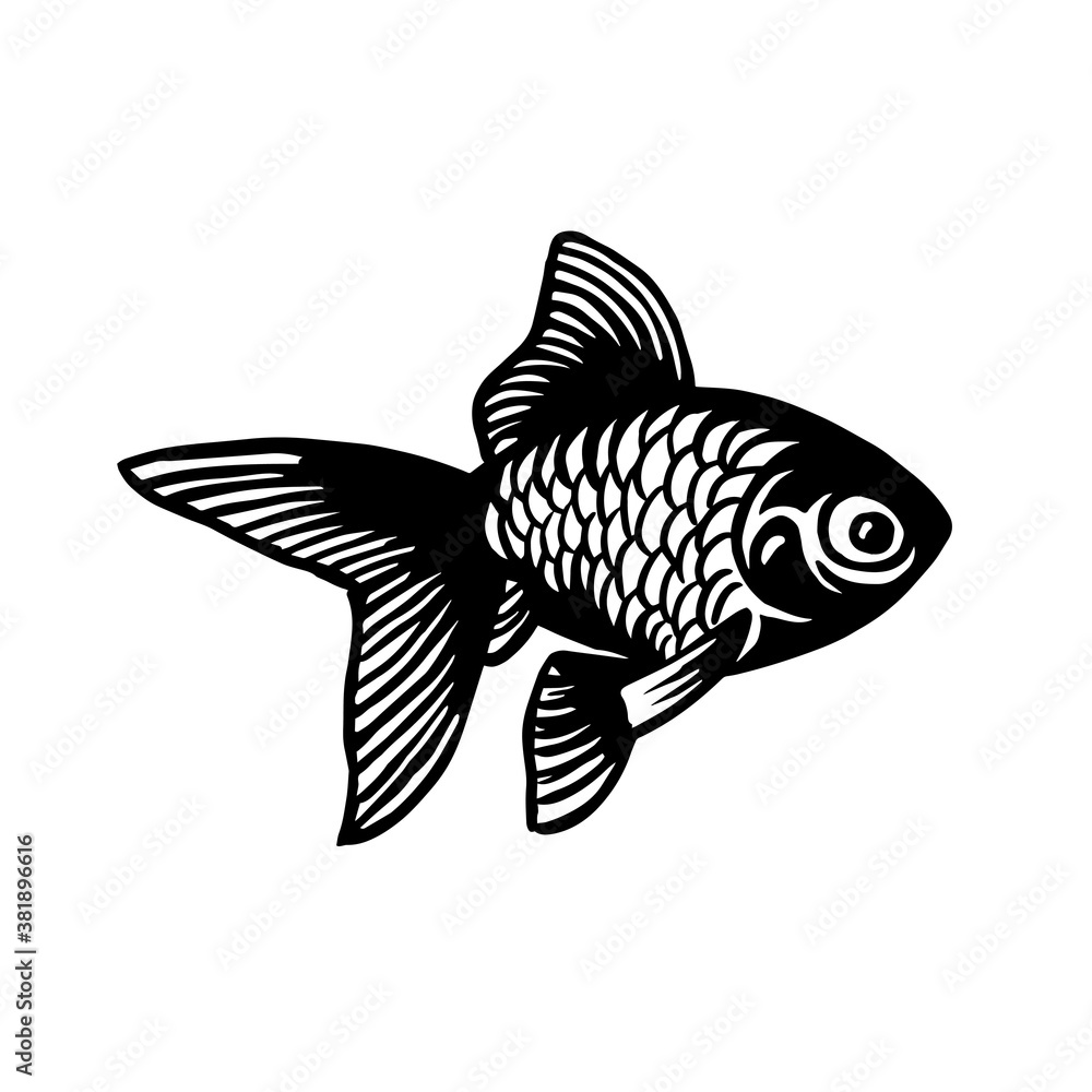 Goldfish or veiltail fish sketch style. Sea animal vector vintage illustration Goldfish or veiltail fish sketch style. Sea animal vector vintage illustration