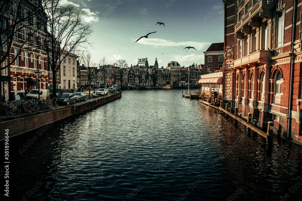view on Amsterdam center from canal bridge, gulls on the sky