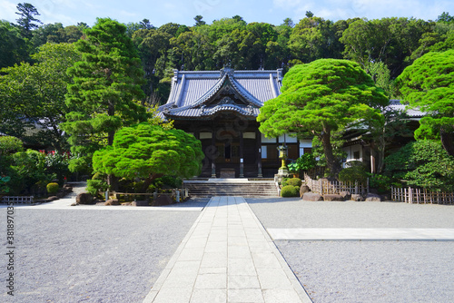 Syuzenji Temple, Shizuoka Pref., Japan photo