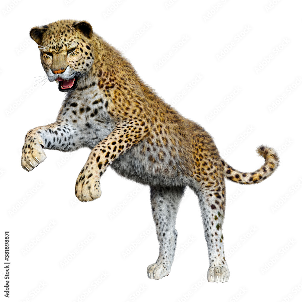 3D Rendering Big Cat Leopard on White 3D Rendering Big Cat Leopard on White